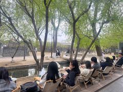 -春风习习