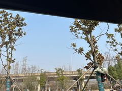 -羊山湖公园