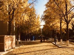 -北京化工大学(东校区)
