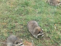 -秦皇岛野生动物园