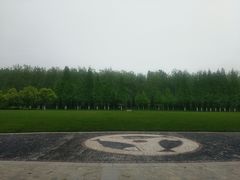 -合肥滨湖国家森林公园