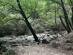 -白水冲瀑布