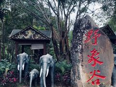 -野象谷景区
