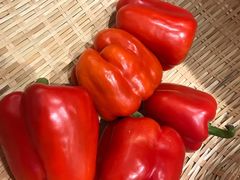 -千稻剁椒大鱼头(CityOn熙地港店)