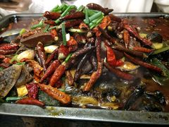 -探鱼·鲜青椒爽麻烤鱼(西南商都店)