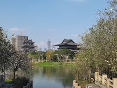 -海珠湖公园