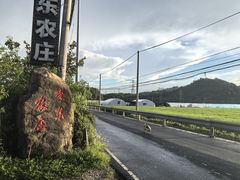 -李东农庄(中南百草园地标店)