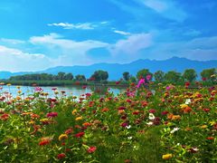 -野鸭湖国家湿地公园