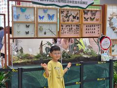 -武汉荟聚