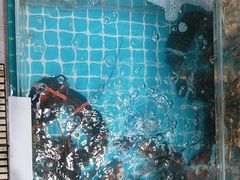 -晓伟海鲜家常菜