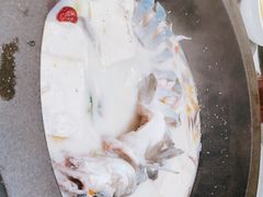 -鲜潭蒸汽石锅鱼(五道口购物中心店)