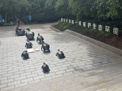 -广东惠东海龟国家级自然保护区