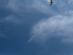 -仰口沙滩