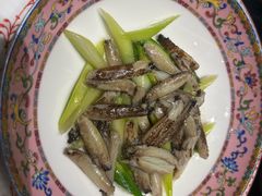 -新光酒家·河豚·海鲜·蟹料理(浦东店)