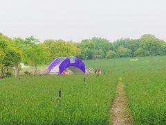 -上海杨姆庄园