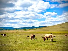 -塞罕坝国家级自然保护区