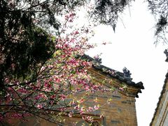-西安关中民俗艺术博物院