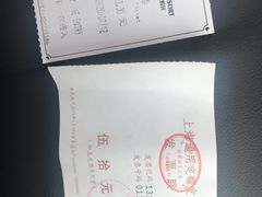 -迪士尼乐园停车场