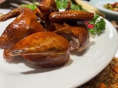 -燕郊烧鸽子(酷车小镇店)