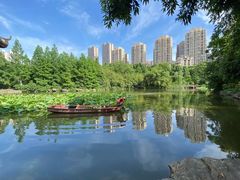 -龙头寺公园