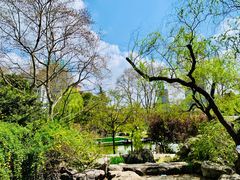 -静安公园(静安寺街道)