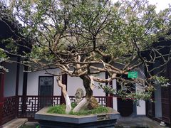 -水绘园