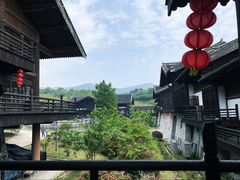 -大唐贡茶院