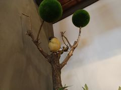 -湘当爱·鲜煮现炒(松岗立业路店)
