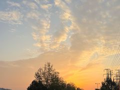 -三圣花乡旅游区