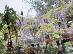 -拈一筷子·宜宾江湖菜(总店)