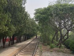 -府君山公园