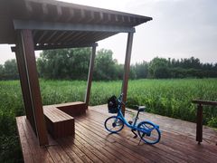 -东郊湿地公园
