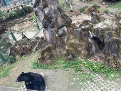 -成都动物园