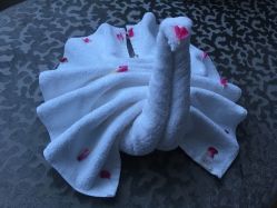 -尊茂银都酒店·宴会厅