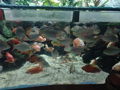 -太平洋海底世界