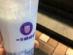 -一只酸奶牛(八一路店)
