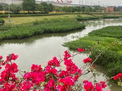 -那考河湿地公园