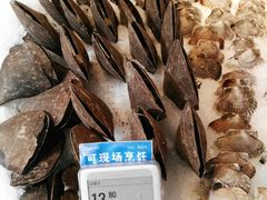 活带子-盒马鲜生(解百新元华店)