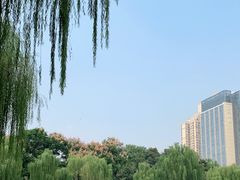 -后襄河公园