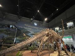 -自贡恐龙博物馆