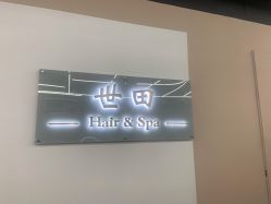 -世田造型