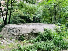 -少华山国家森林公园