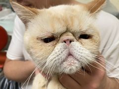 -FAELING PETS美天灵宠物(富力广场店)