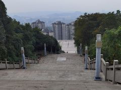 -铁山坪森林公园