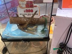 -天河领展广场
