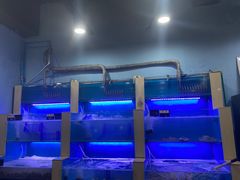 水产区-老虎滩大连海鲜烧烤(建邺云锦路总店)