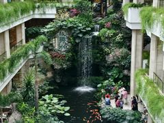 -广州白天鹅宾馆