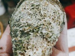 -蚝哥花姐湛江烤生蚝(美丽湾市场店)