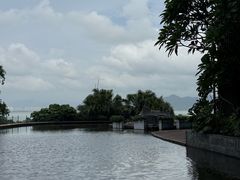 -蛇口希尔顿南海酒店·随轩中餐厅·粤菜