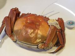 大闸蟹-新花城蟹粉馆(乌鲁木齐店)